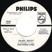 NORTHERN LITES / Enjoy, Enjoy / It's A Very Funny Feelin'